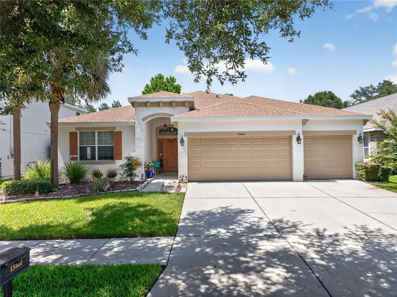 15601 Starling Water Dr, FL