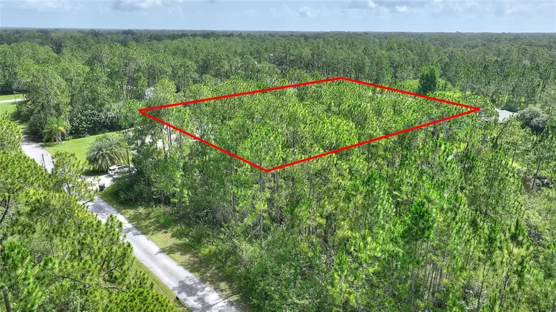 28 & 30 Amaryllis Dr, FL