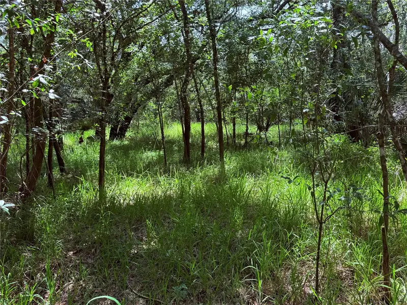 Ne River Ridge Ave, FL