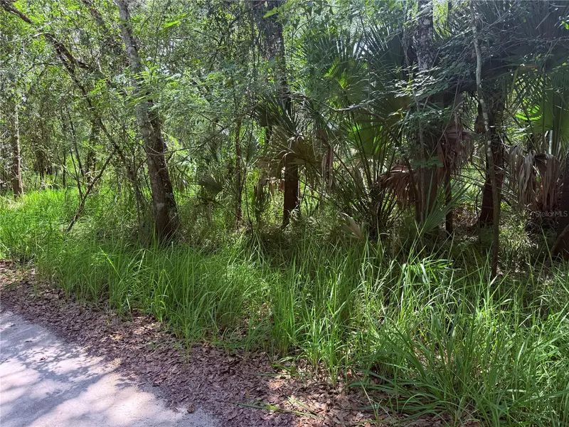 Ne River Ridge Ave, FL