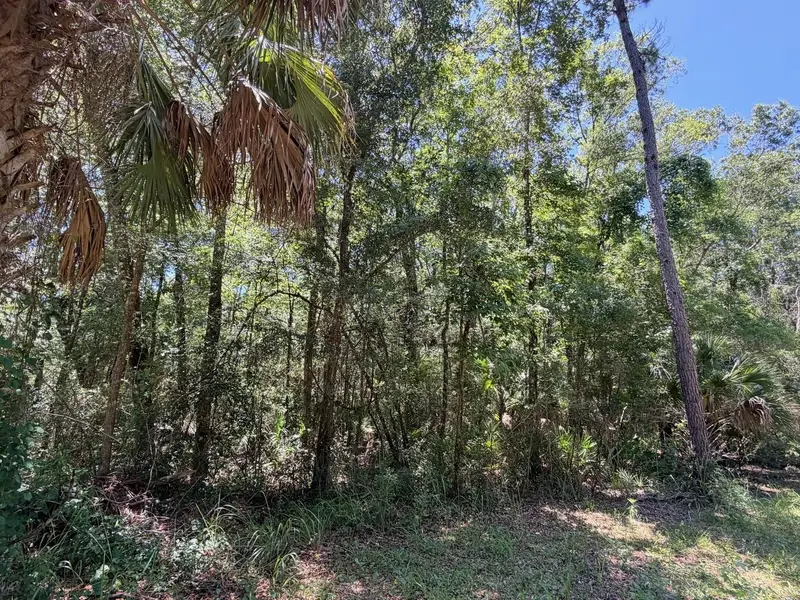 0 Se Hwy 19, FL