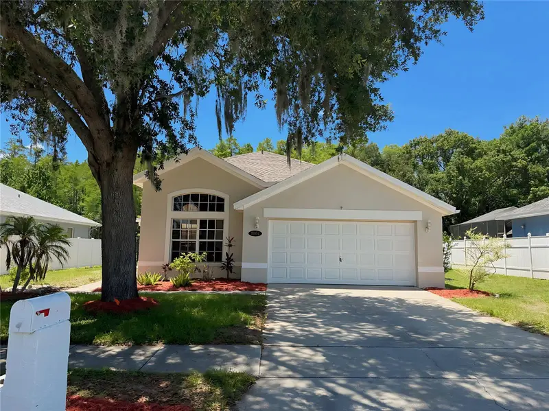 10104 Beefmaster Ct, FL