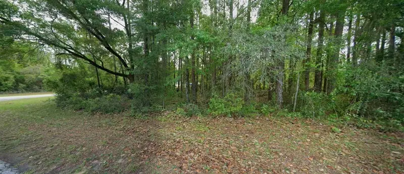 10181 N Gardner Way, FL