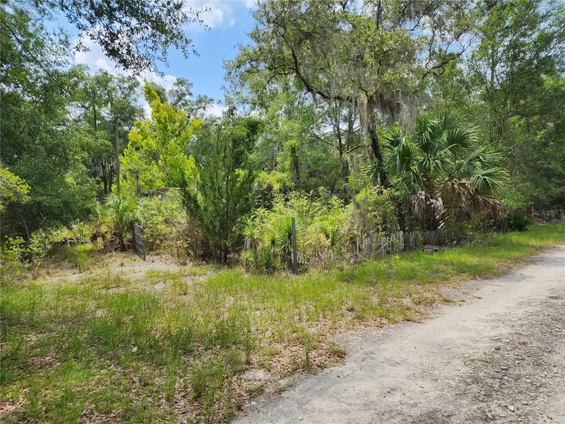 11335 N Ginny Lane Pt, FL