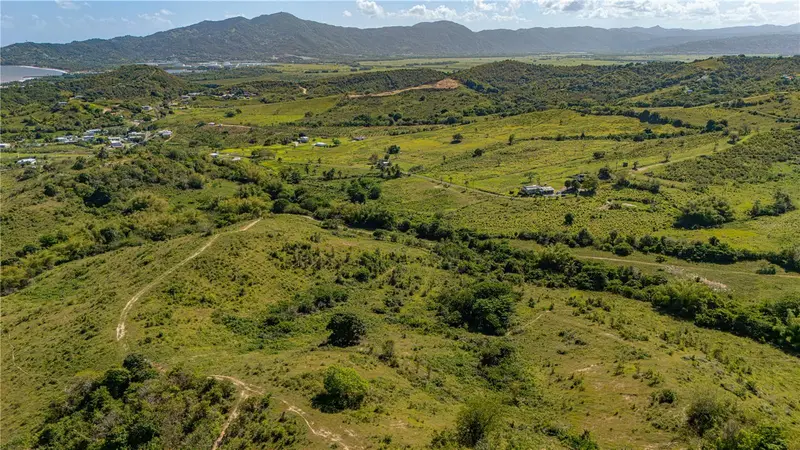 Barrio GuayanéS, PR