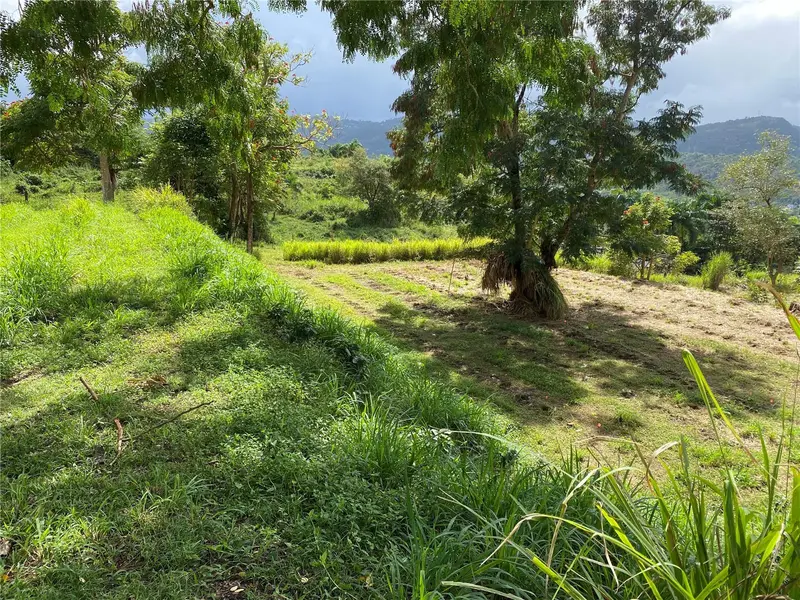 Quebrada Grande, PR