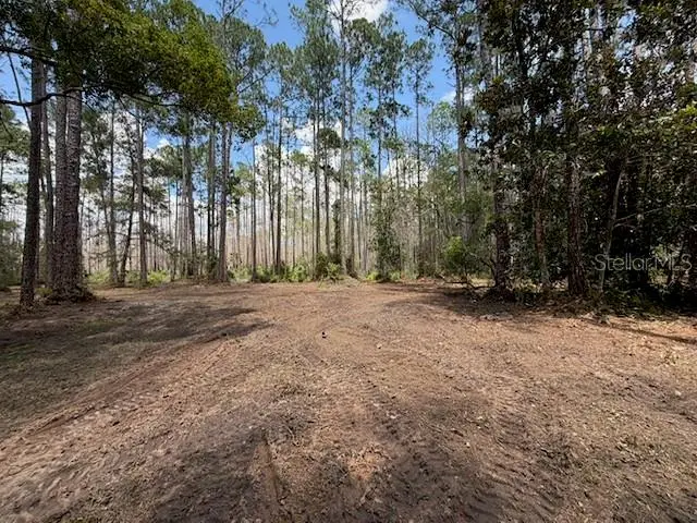 Daytona Park Estates listing