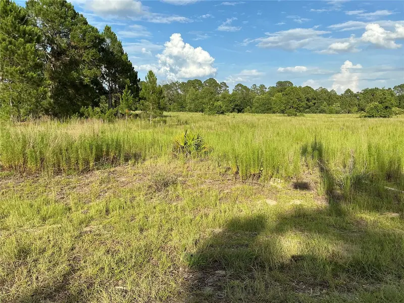 Maple Ln Way, FL