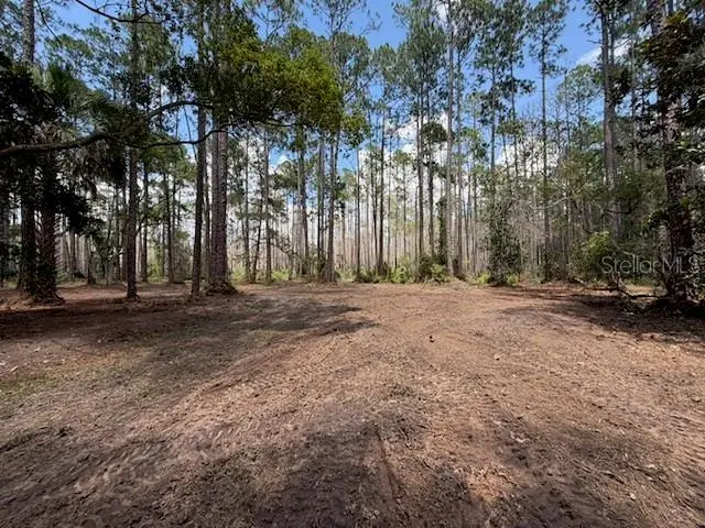 Daytona Park Estates listing