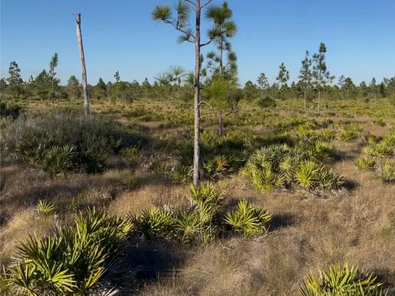 Holopaw Groves Rd, FL