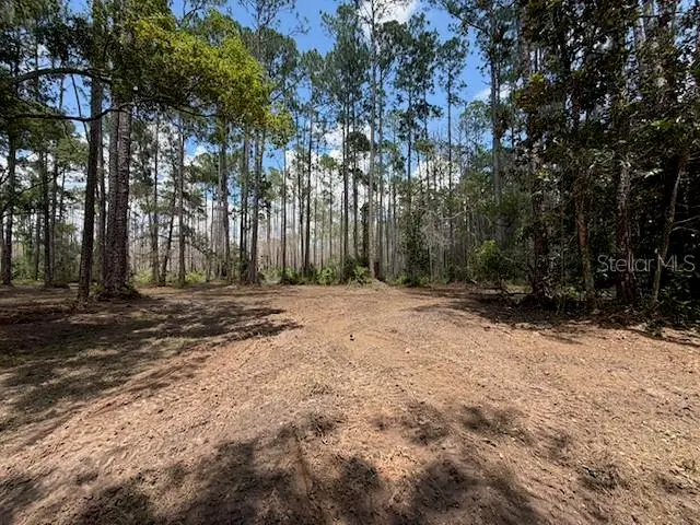 Daytona Park Estates listing