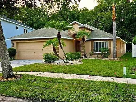 Land O Lakes, Fl, FL