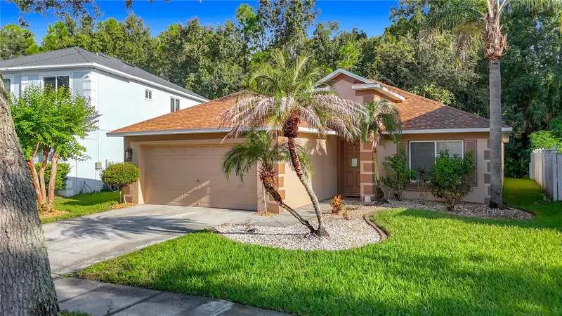 Land O Lakes, Fl, FL