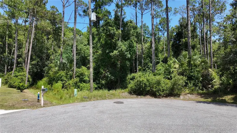 8 Zaftig Ct, FL