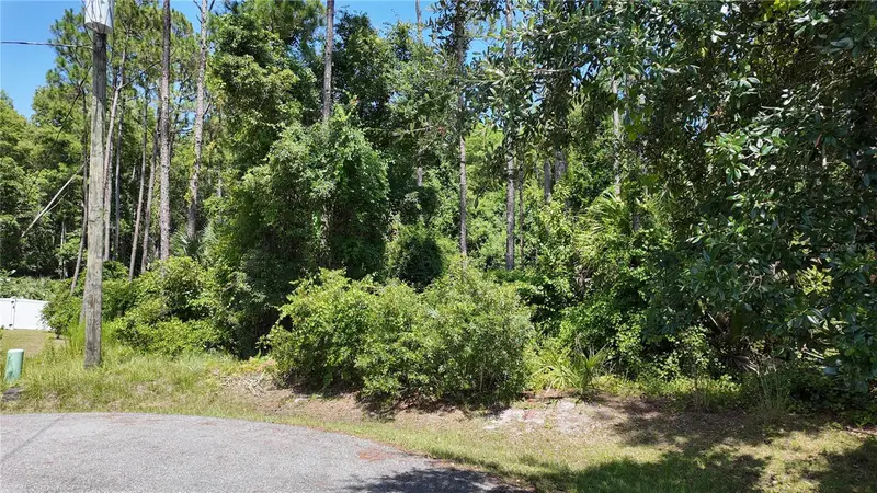 8 Zaftig Ct, FL