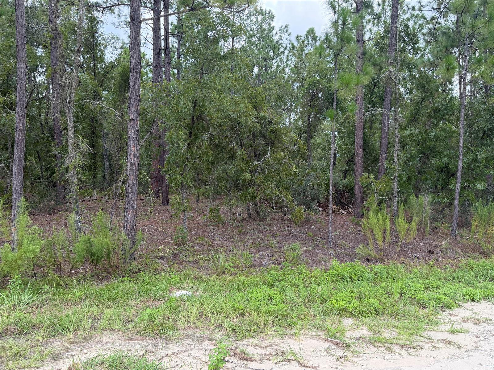 00 Sw 131 Ave, FL