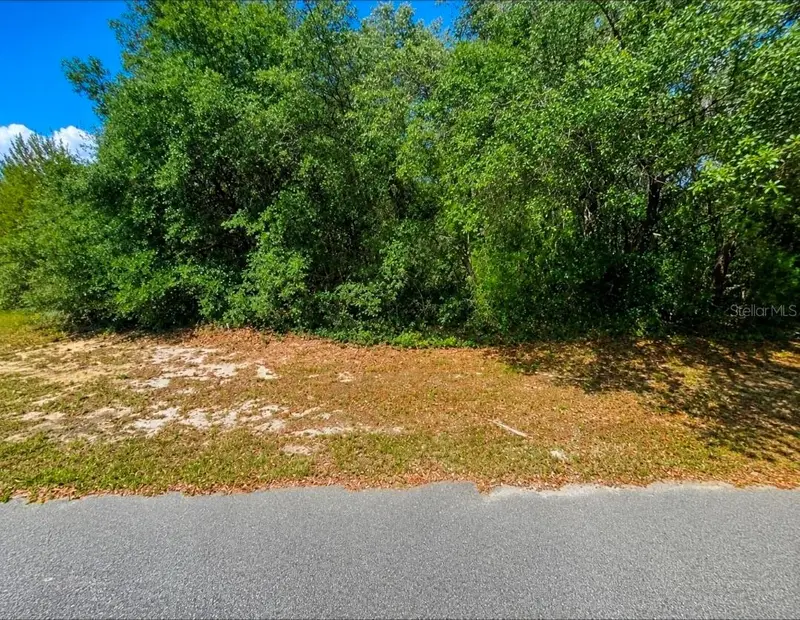 Sw 164th Place Rd, FL