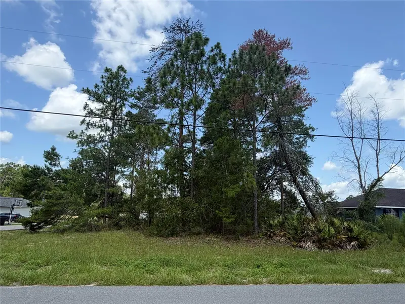 Tbd Sw 63rd Ter, FL