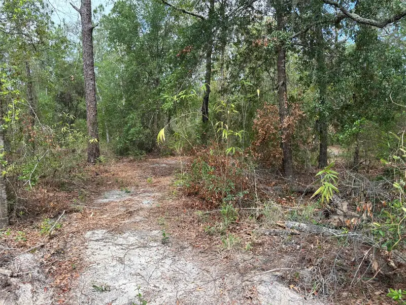 18379 Thomas Blvd, FL
