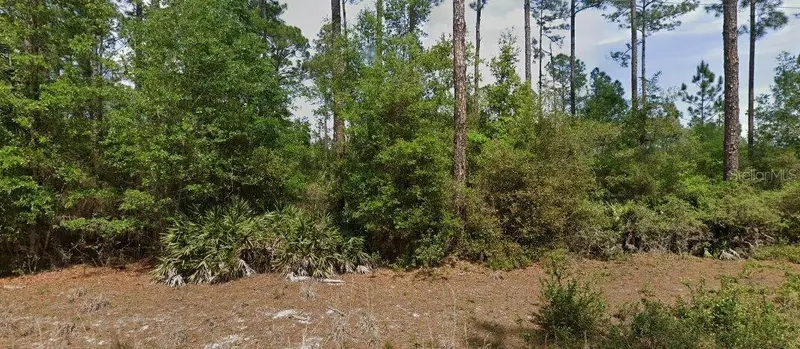 148 Arden St, FL