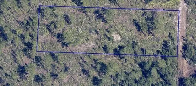 Dill Rd, FL
