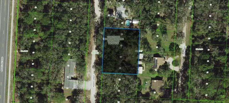 17-25-17-0030-01700-0240 Hedges St, FL