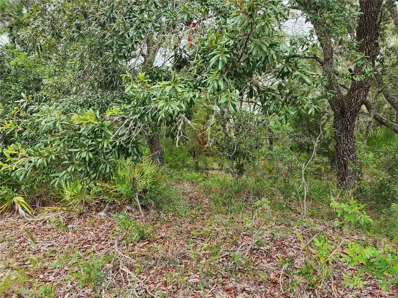 18364 Parakeet Rd #Lot #25, FL