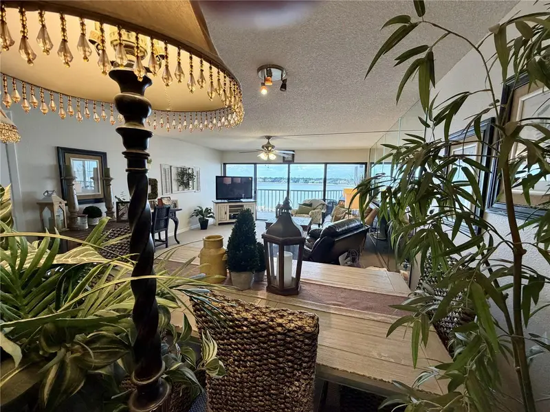 South Tampa / Hyde Park listing