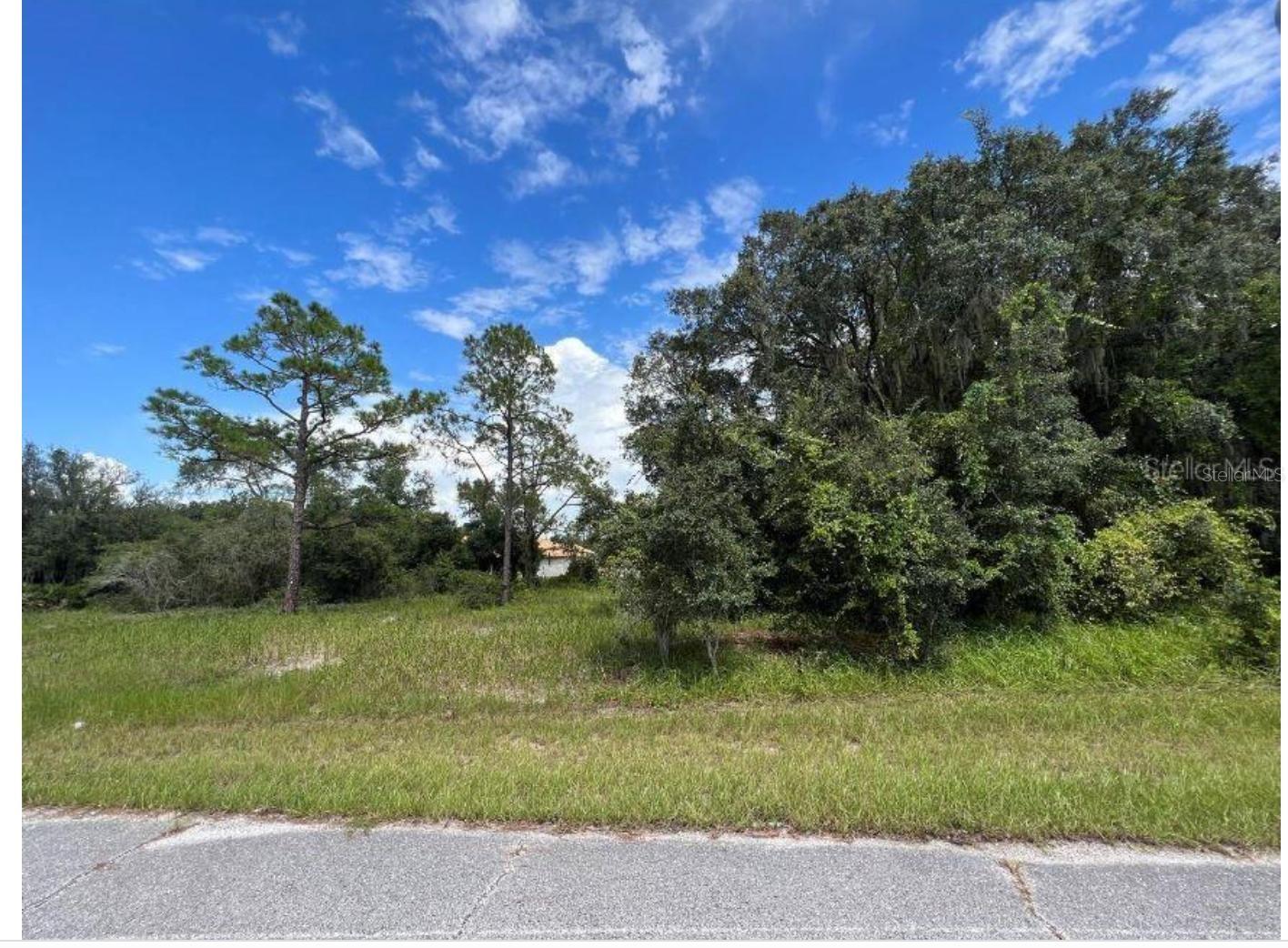 1336 Hillsborough Ct, FL