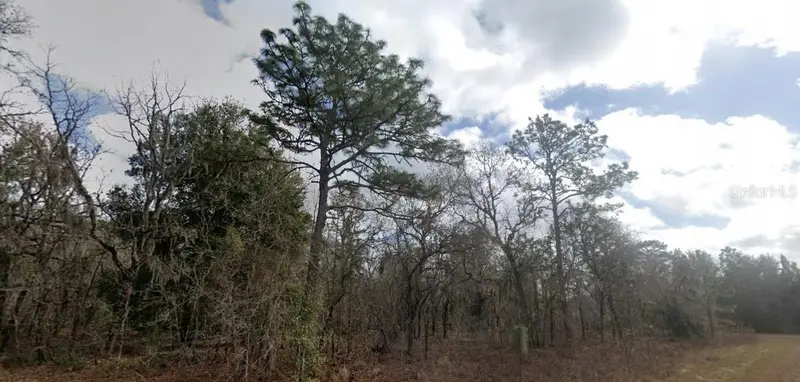 Crider Rd, FL