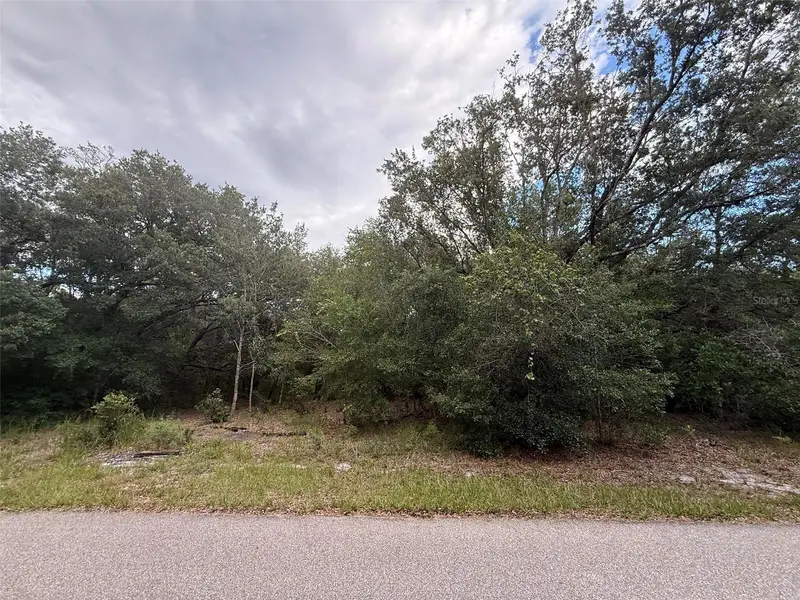 1012 Wildflower St, FL