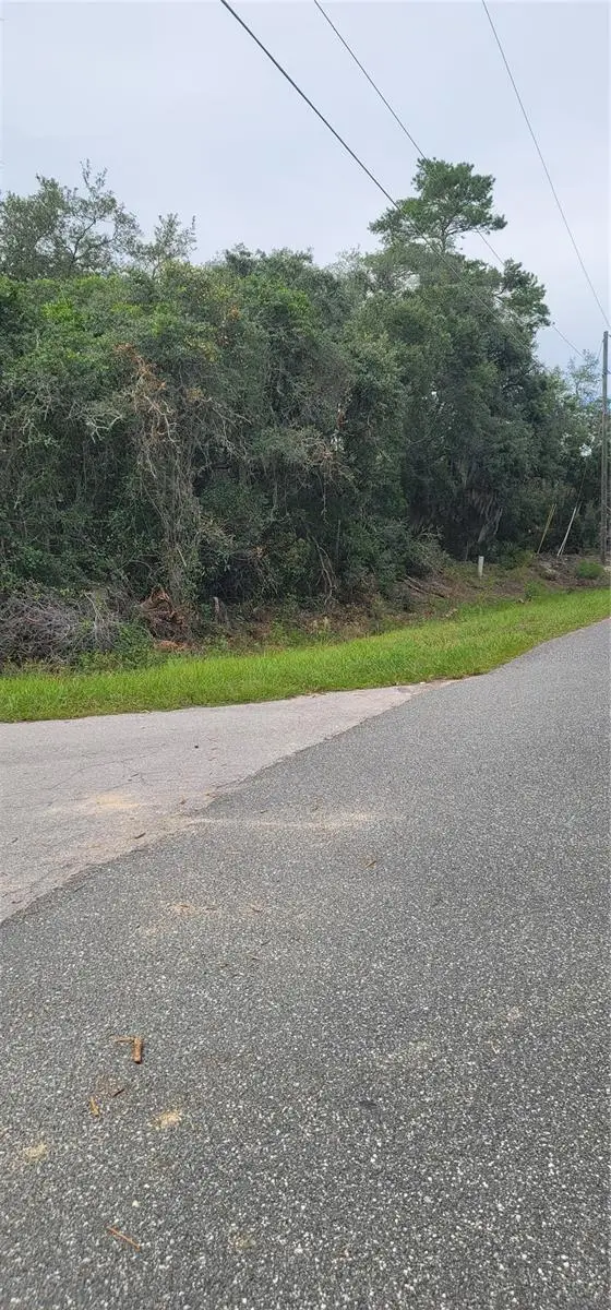 Lot 15 Olive Way, FL