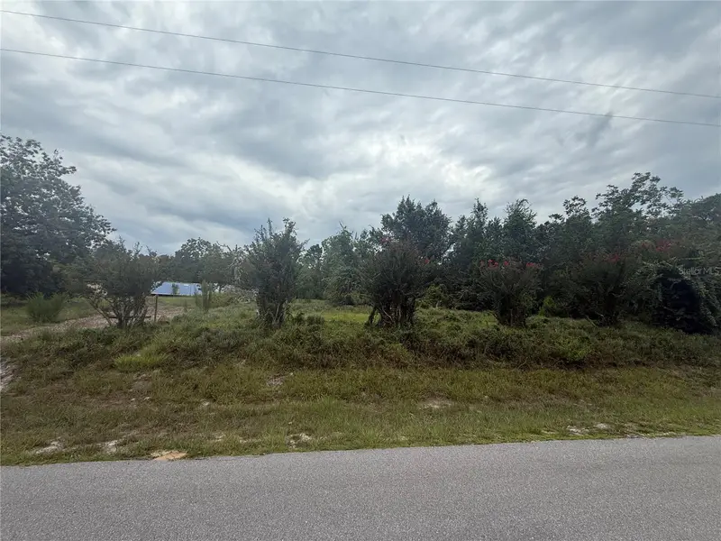 31514 Division St, FL