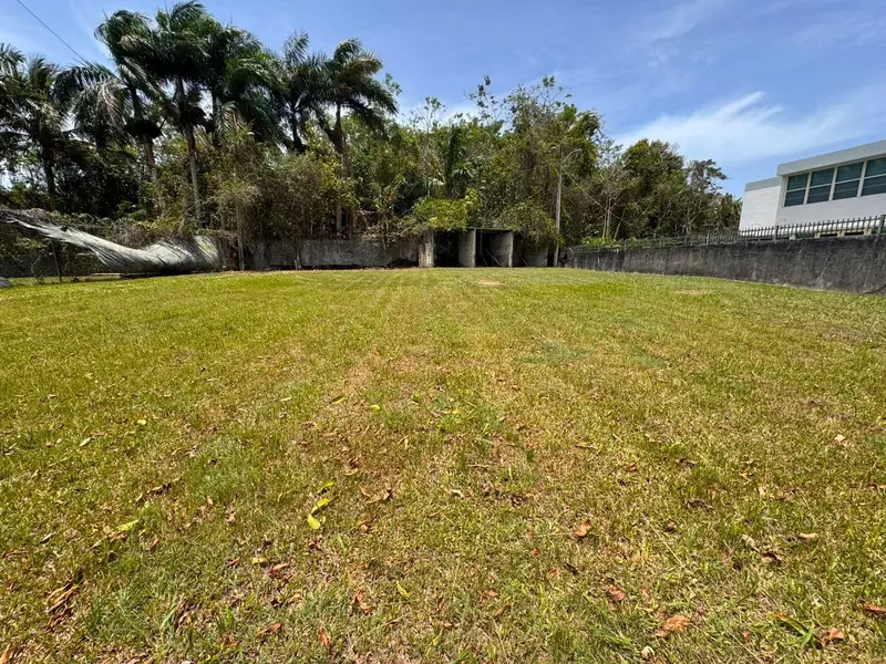 Carr 738 Km 1.4 Bo Montellano, PR