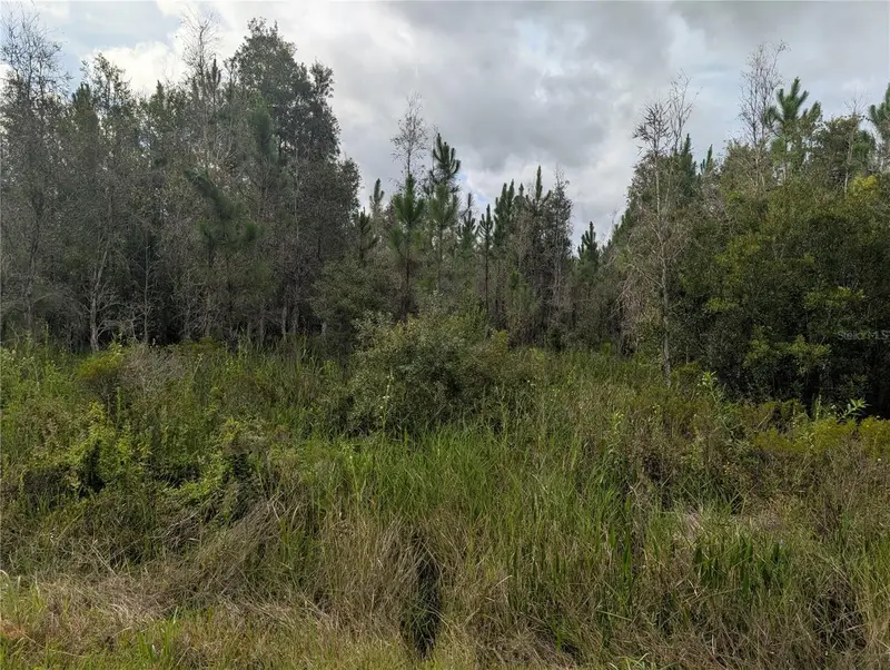 Meadowlark Blvd, FL