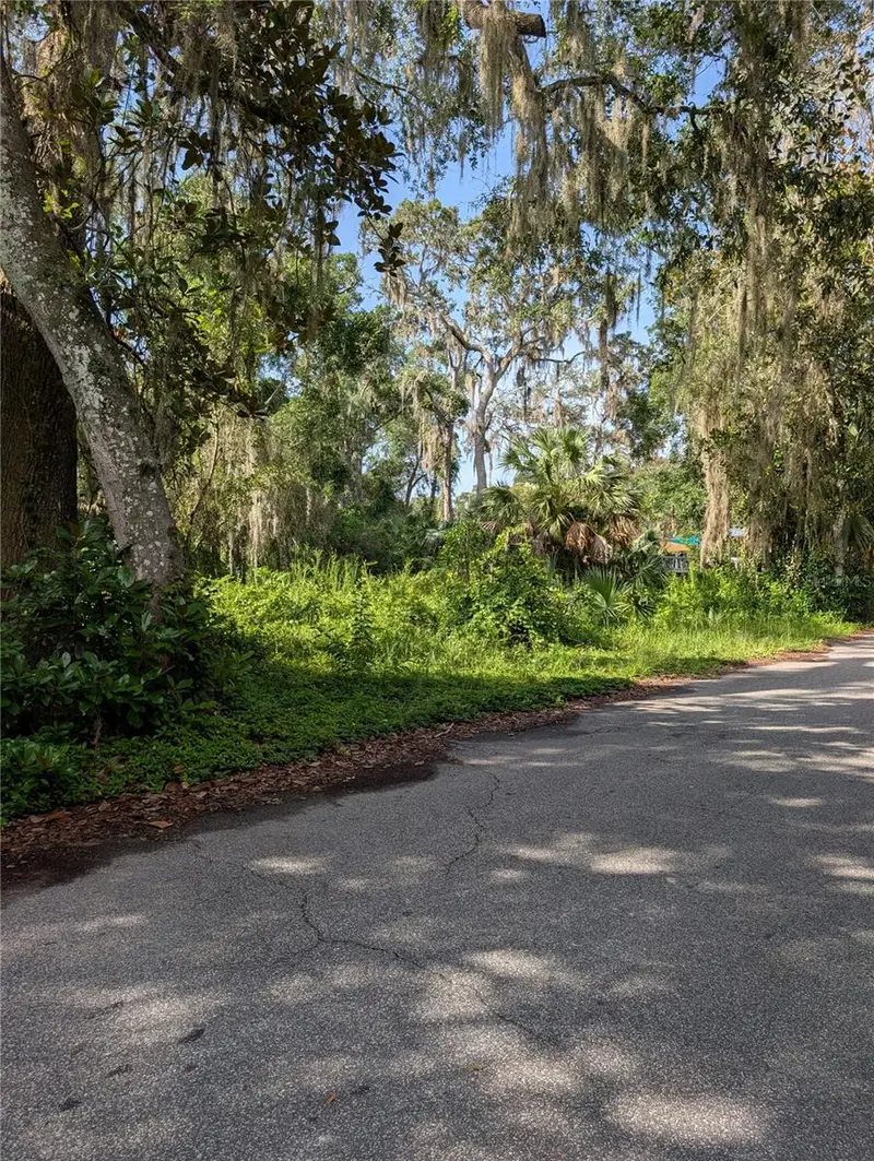 6650 N Beechnut Loop, FL
