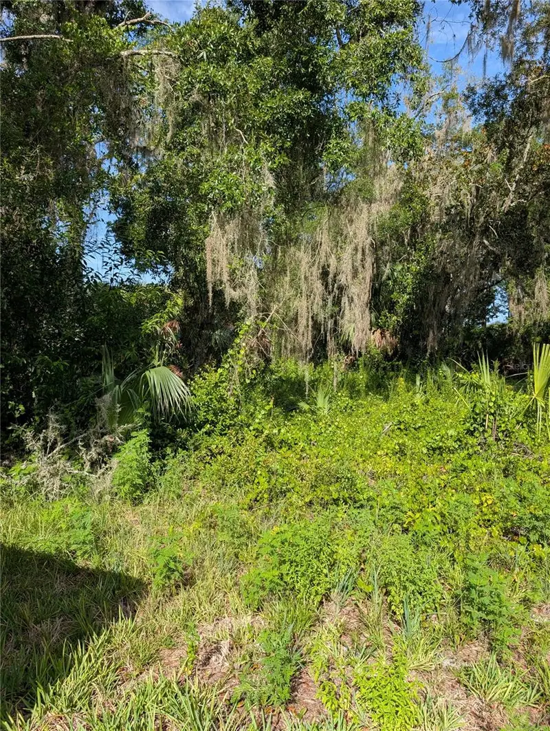6650 N Beechnut Loop, FL