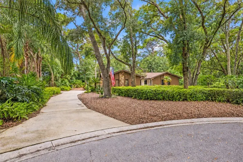 Dunedin listing