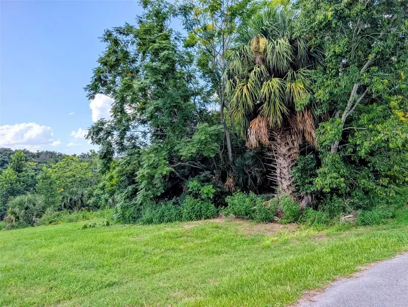 Green Briar Dr, FL