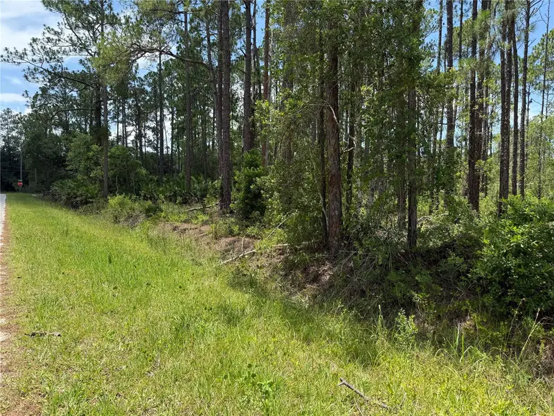 2914 Avocado Blvd, FL