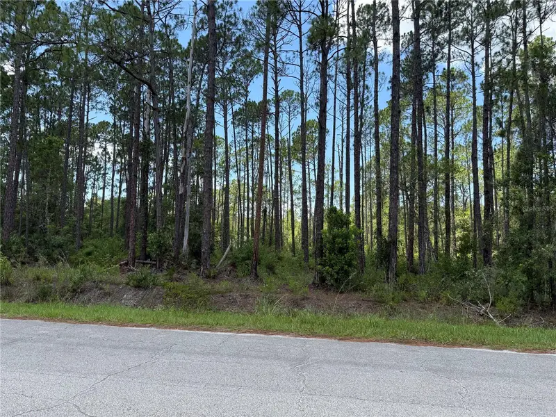 2914 Avocado Blvd, FL
