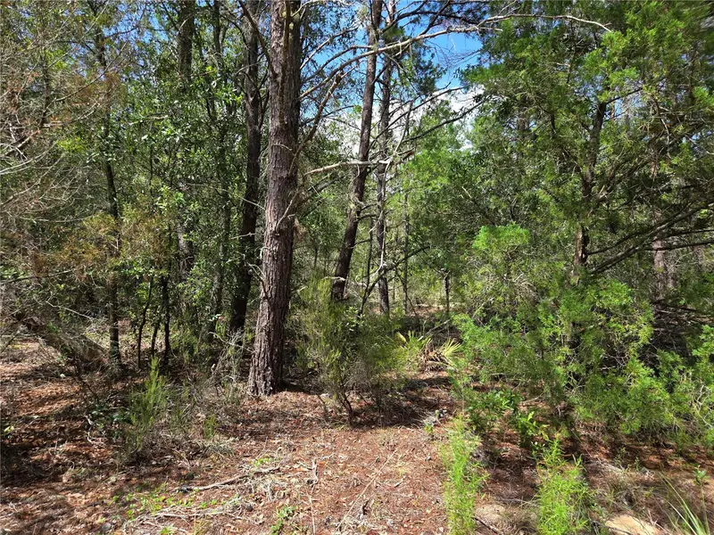 0000 Ne 95th St, FL
