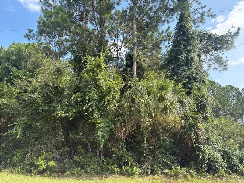 17 Uhlerwood Ct, FL