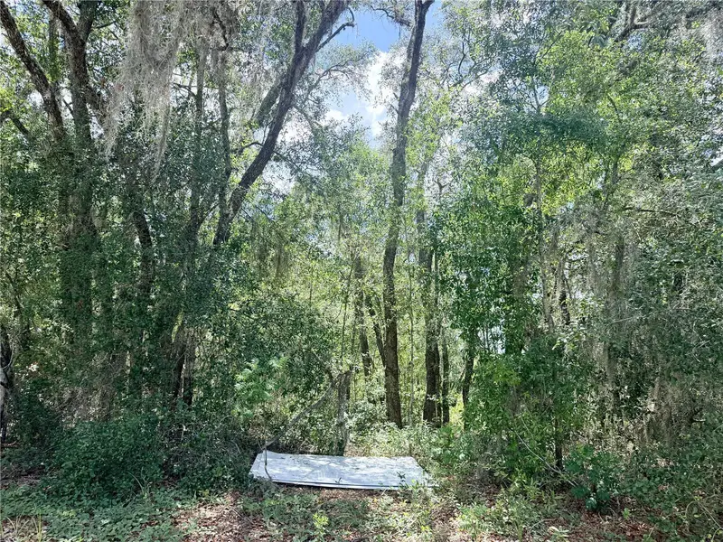 7932 N Elkcam Blvd, FL