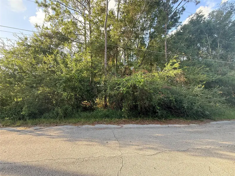 0 Wilfred St, FL