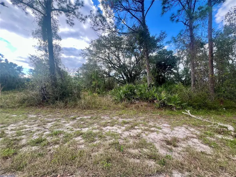 95 Harvey St, FL