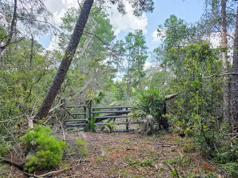 340 Sand Pine Pl, FL