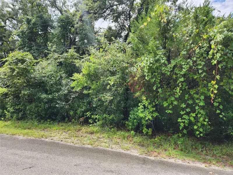 00 Oak Dr #Tract 25, FL