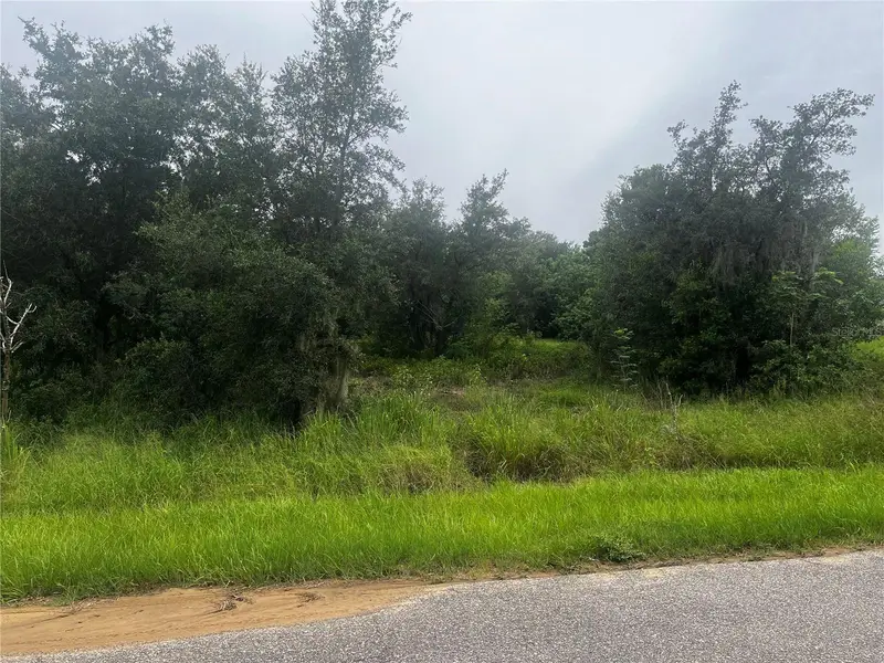 2370 Lake Easy Rd, FL