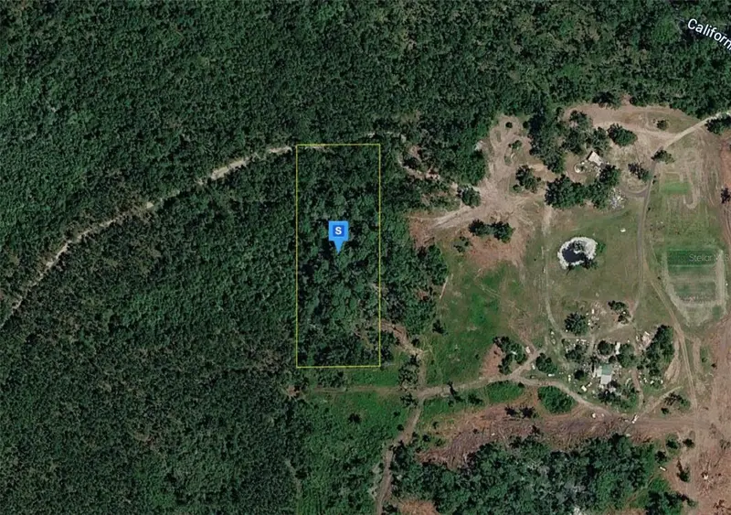 15701 Us-19, FL